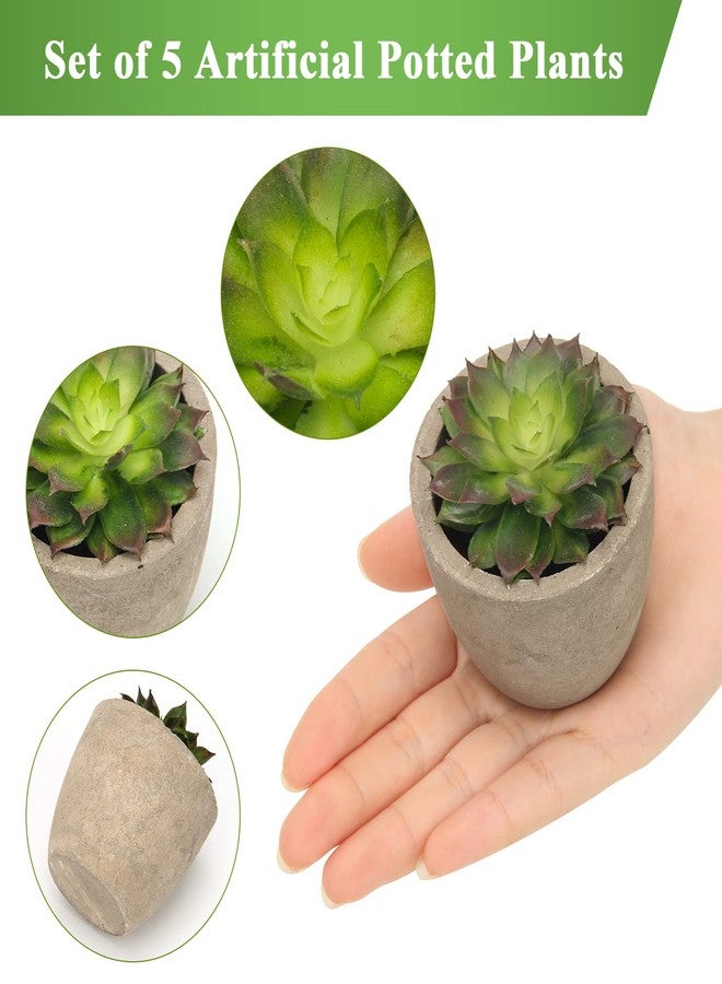 Coitak Artificial Succulent Plants Potted, Assorted Decorative Faux Succulent Potted Fake Cactus Cacti Plants with Pots, Set of 5 - Image 3