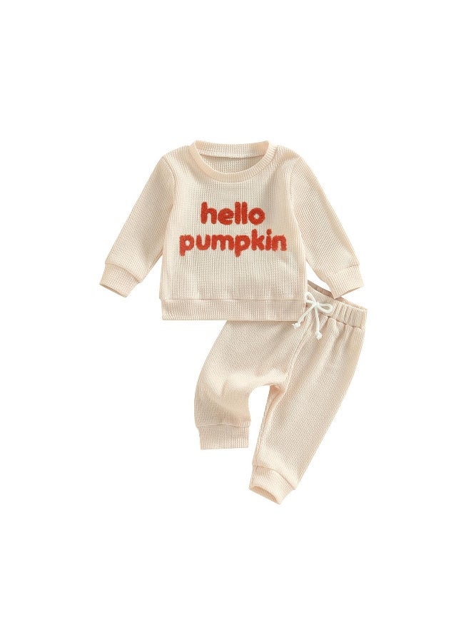 Baby 2Pcs Halloween Outfits Fuzzy Letter Embroidery Long Sleeve Sweatshirt + Pants Set Toddler Clothes