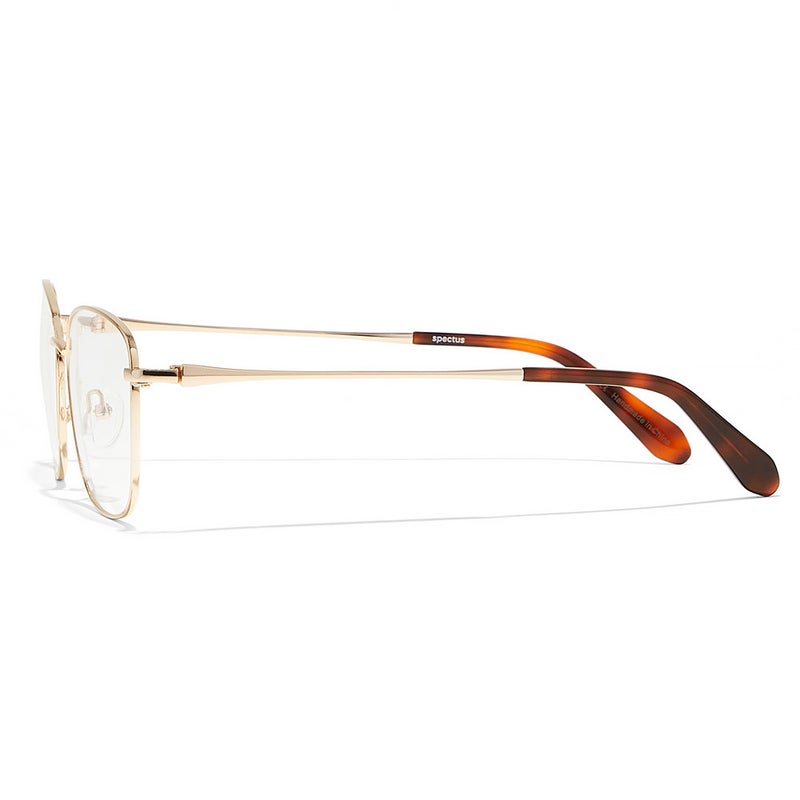 Spectus PENNI - Image 2