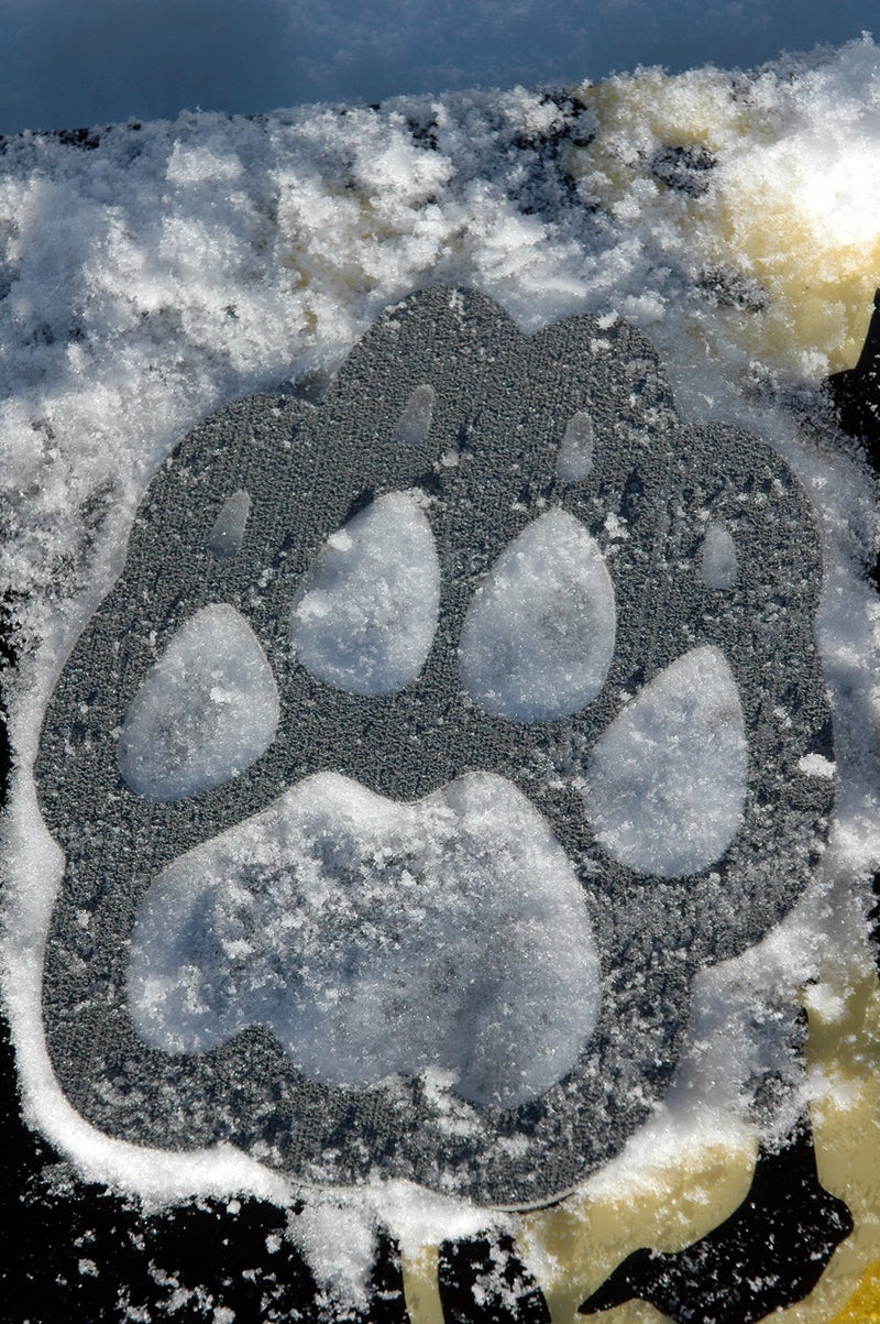 Toejamr Snowboard Stomp Pad - Cougar PAW - Gray - Image 2