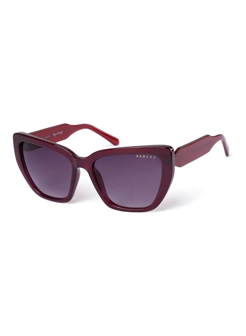 Radley نظارات شمسية قطط العين للنساء RDS-6501 بني 57 مم - Image 1