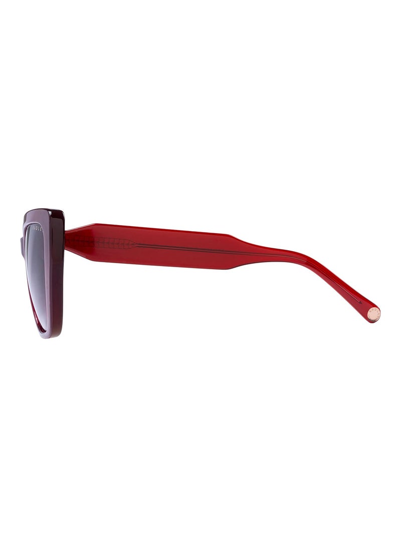 Radley نظارات شمسية قطط العين للنساء RDS-6501 بني 57 مم - Image 3