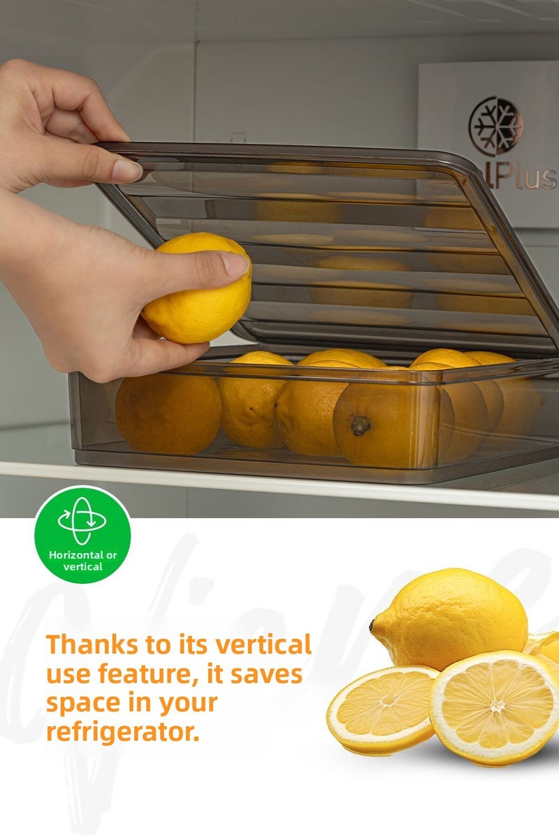 Vienev 4-Piece Refrigerator Organizer - Large Storage Container - Image 3