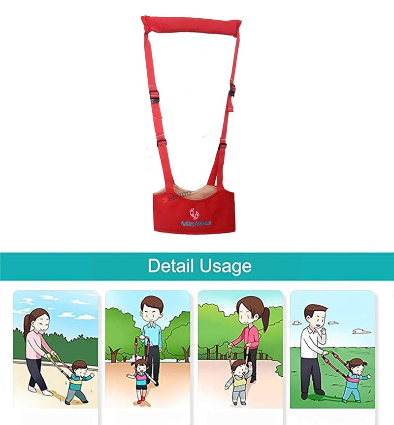 PSEUDO Baby Walker-Hand held Kids Walker Harness-Breathable Adjustable Detachable Protective Belt-Safe Standing & Walk Tool-Help Baby Keep Balance Walk for 07 to 24 Month Old (Red) - Image 2