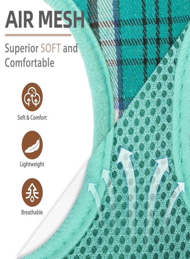 PUPTECK Soft Mesh Dog Harness and Leash Set Pet Puppy Cat Comfort Padded Vest No Pull Harnesses, Green, M - Image 2