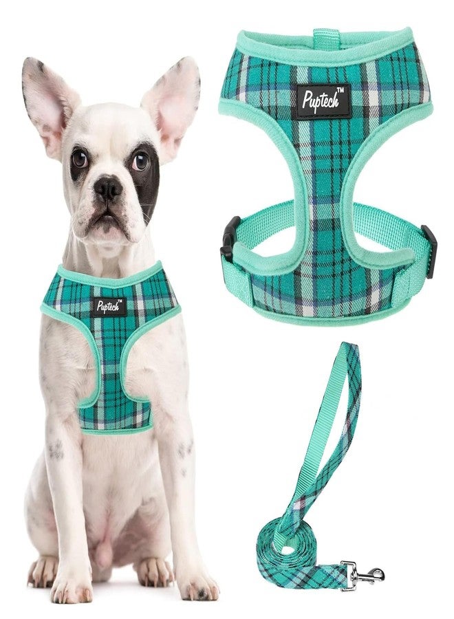 PUPTECK Soft Mesh Dog Harness and Leash Set Pet Puppy Cat Comfort Padded Vest No Pull Harnesses, Green, M - Image 1