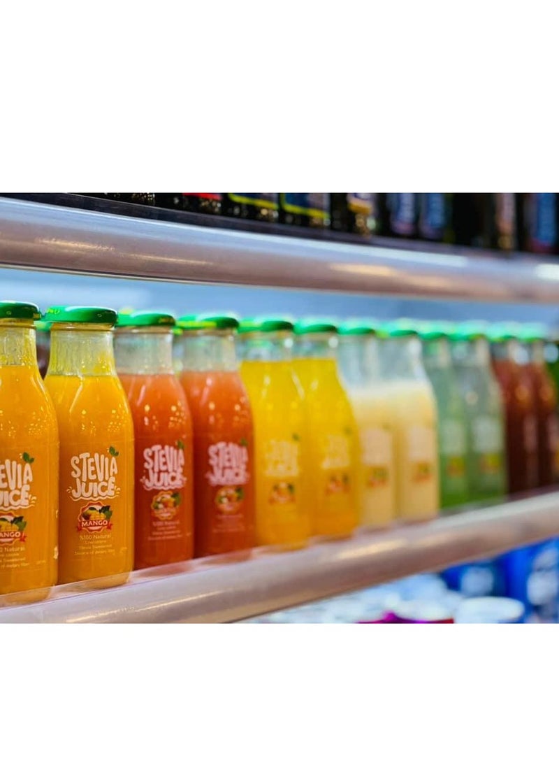 Stevia Juice Stevia Juice Natural Mango Juice - Natural and refreshing juice without sugar sweetened with natural stevia 300 ml - Image 3