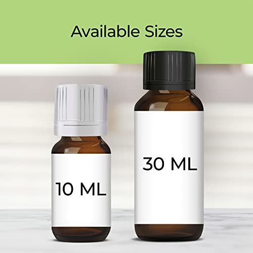 Good Essential Professional Vanilla Fragrance Oil 10 ml (0.33 fl oz) for Candles, Soaps, Perfume, Home Fragrance, Vanilla Diffuser Oil, and Body Lotion - Image 3