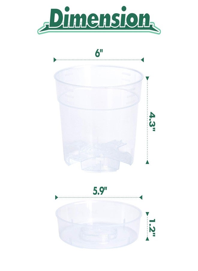 Phoenix Vine 6 Inch Clear Plastic Plant Pot with Drainage Holes, Interlocking & Detachable Tray - Deep Saucer - Durable BPA-Free Plastic, Transparent Design, Raised Base for Airflow, Set of 6, 92-X-A-4 - Image 4