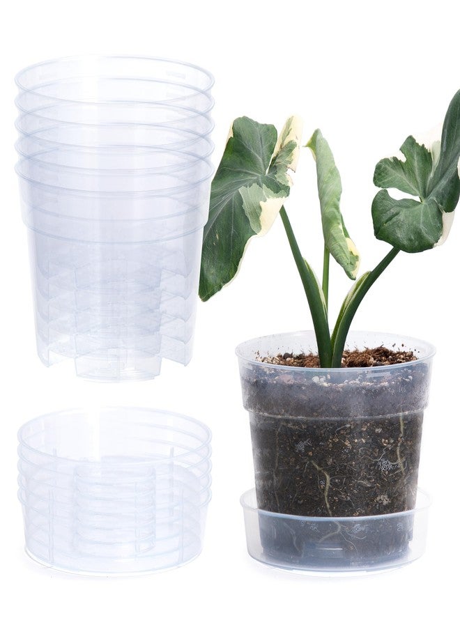 Phoenix Vine 6 Inch Clear Plastic Plant Pot with Drainage Holes, Interlocking & Detachable Tray - Deep Saucer - Durable BPA-Free Plastic, Transparent Design, Raised Base for Airflow, Set of 6, 92-X-A-4 - Image 1