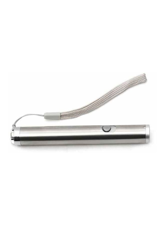 2-In-1 Laser Pointer Pen Silver - Image 2