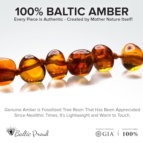 Baltic Proud Amber Necklace (Unisex Cognac Polished 12.5 Inches) - Certified Premium Quality Raw Baltic Sea Amber - Image 2