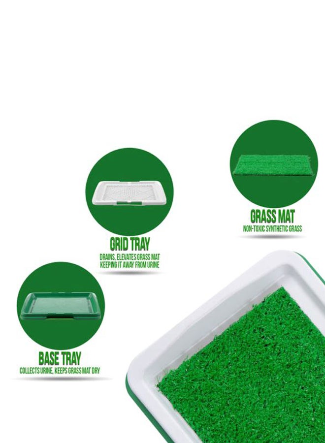 Loquat Dog Litter Box Pad Green/White - Image 4