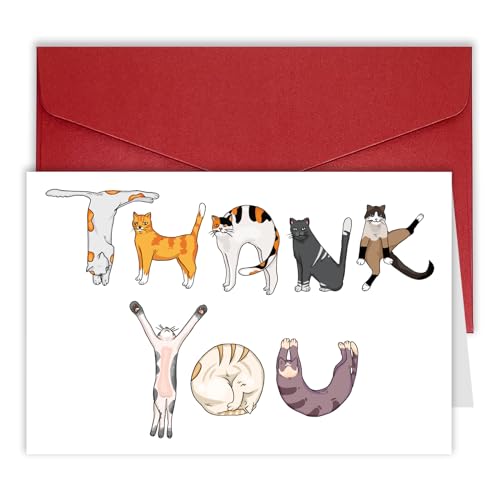 Bhiosng MOCO PAPER Funny Cat Thank You Card For Men Women, Cute Cat Thank You Gift for Him Her, Appreciation Card Thanks Gift for Friend Teacher Boss Coworker, Thank You Card For Cat Mom Dad - Image 1