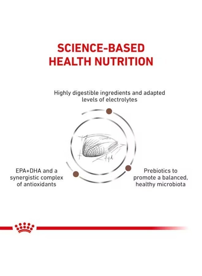 ROYAL CANIN Cat Gastrointestinal VHN - dry cat food - 4kg - Image 5