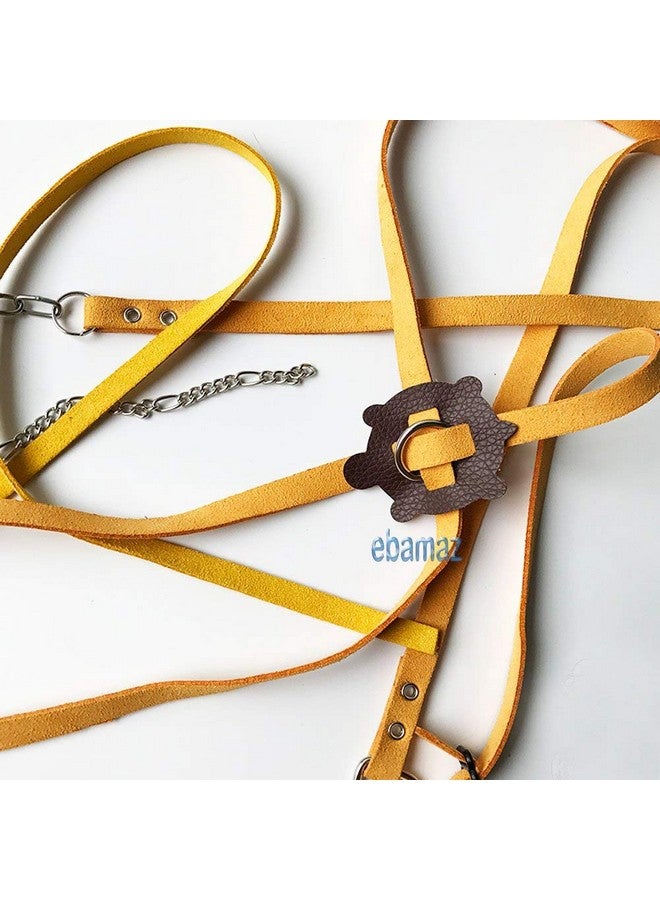 Ebamaz Leather Harness Strap for Tortoise/Turtle Pet Walking Lead Control Rope Chest Collar (L) - Image 5