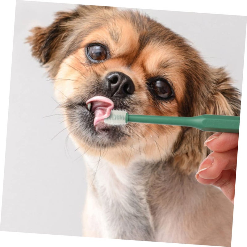 4Pcs Pet Toothbrush Set For Dogs And Cats With Non Slip Handle And Soft Bristles - Image 3