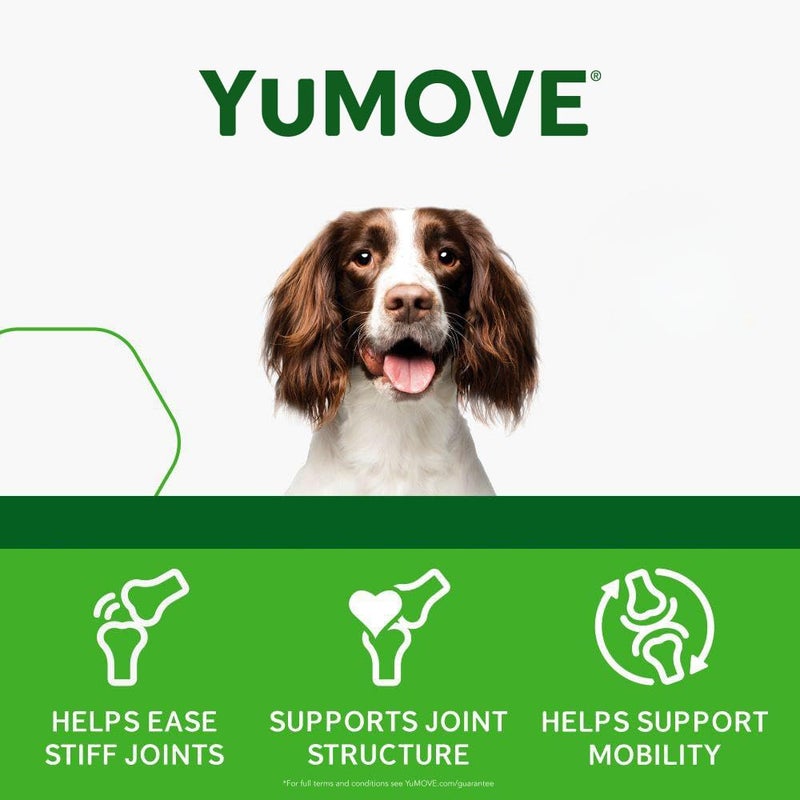 Lintbells Dog Joint Supplement, Hip and Joint Supplement for Dogs with Glucosamine, Hyaluronic Acid, and Green Lipped Mussel and Omegas, Relief for Dog Hip and Joint Aches and Stiffness, by YuMOVE - 150 Bites - Image 5