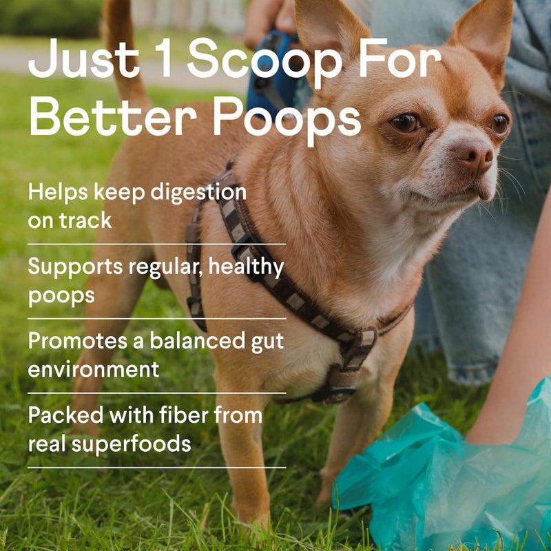 Finn Pumpkin Plus: Daily Digestive Support & Fiber-Rich Topper for Dogs | Promotes Regularity & Gut Health with Superfoods - Image 2