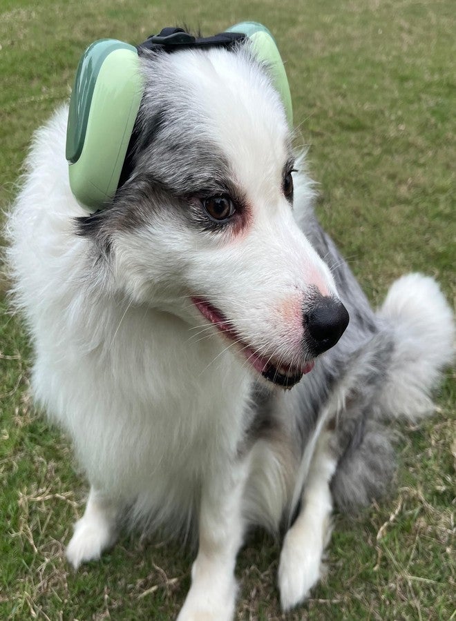 derYEP Dog Earmuffs GEN2 For Hearing Protection 30dB NRR ear muffs noise protection (Large, Deep Forest) - Image 3