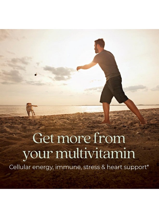 New Chapter Men's Multivitamin for Immune, Stress, Heart + Energy Support with Fermented Nutrients - Every Man's One Daily, Made with Organic Vegetables & Herbs, Non-GMO, Gluten Free - 48 ct - Image 2