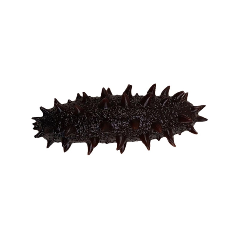 Realistic Artificial Sea Cucumber Model Food Decor Photography Prop Home Party Display - Image 2