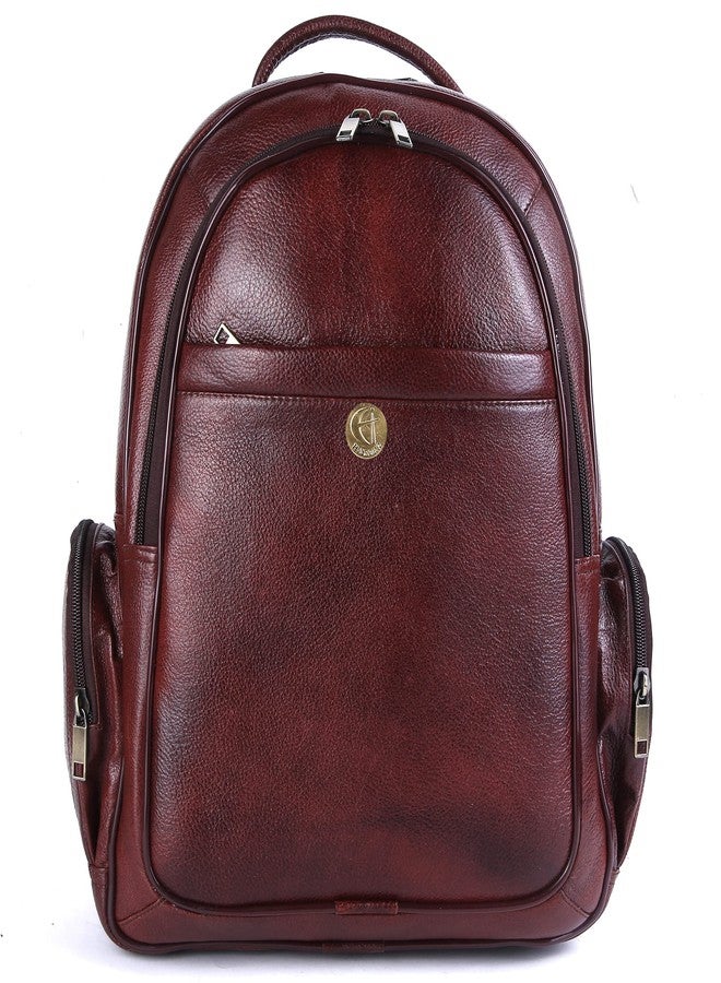 HiLeder 100% Pure Genuine Leather Spacious 17 inch Backpack Rucksack Laptop Business Office Bag (Brown) - Image 1