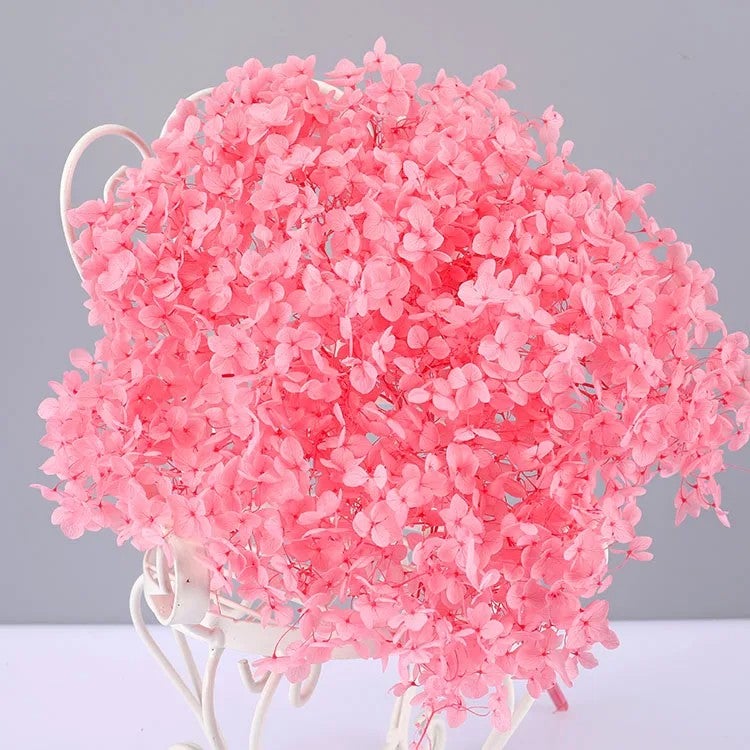 Bluejw Real 20-25cm Dried Hydrangea Flower Branches Natural Preserved Eternal Blooms for Wedding Decor Valentine's Day Graduation Christmas & More Dried Plants - Image 1