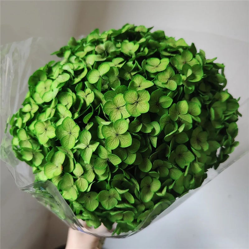 Bluejw Real 20-25cm Dried Hydrangea Flower Branches Natural Preserved Eternal Blooms for Wedding Decor Valentine's Day Graduation Christmas & More Dried Plants - Image 5