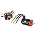 SPEKTRUM سبكتروم فيرما 130A ESC ذكي بدون فرشات مجموعة محرك 1900Kv بدون مستشعر SPMXSEMC04 أسود - Image 4