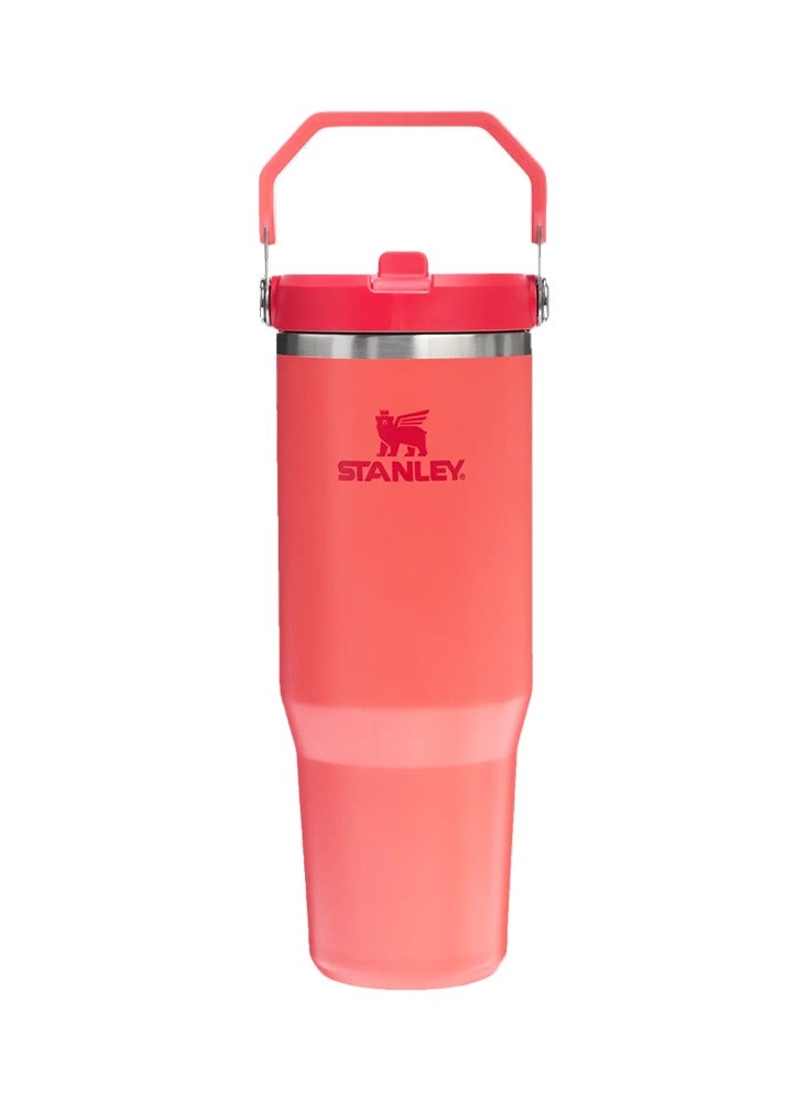 Stanley Iceflow™ Flip Straw Tumbler | 0.89L - Stanley