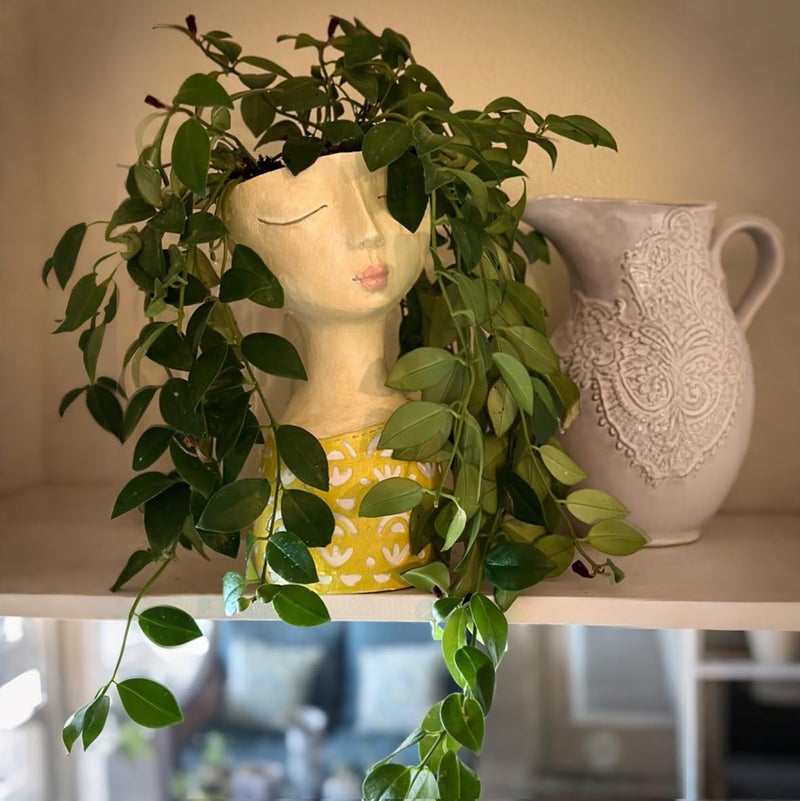 DiliComing Face Planter-Pots for Indoor Plants - 11 Inch Tall Planters for Flowers Head Planter with Drainage for Patio Yard Garden Succulent Pots Garden Decor 6 x 6 x 11 Inch - Image 5