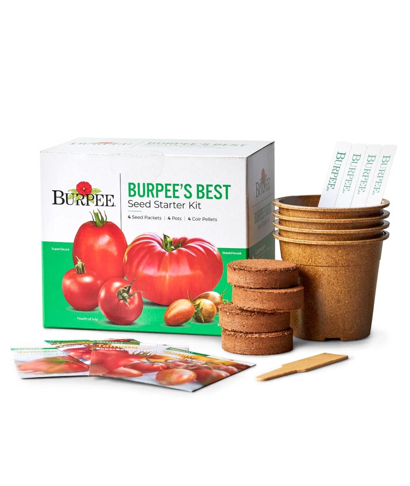 Burpee Best Starter Kit, SuperSauce, Fourth of July, Shimmer & Steakhouse, 4 Tomato Seed Packets, 4 Pots, 4 Coir Pellets & 4 Plant Markers - Image 1