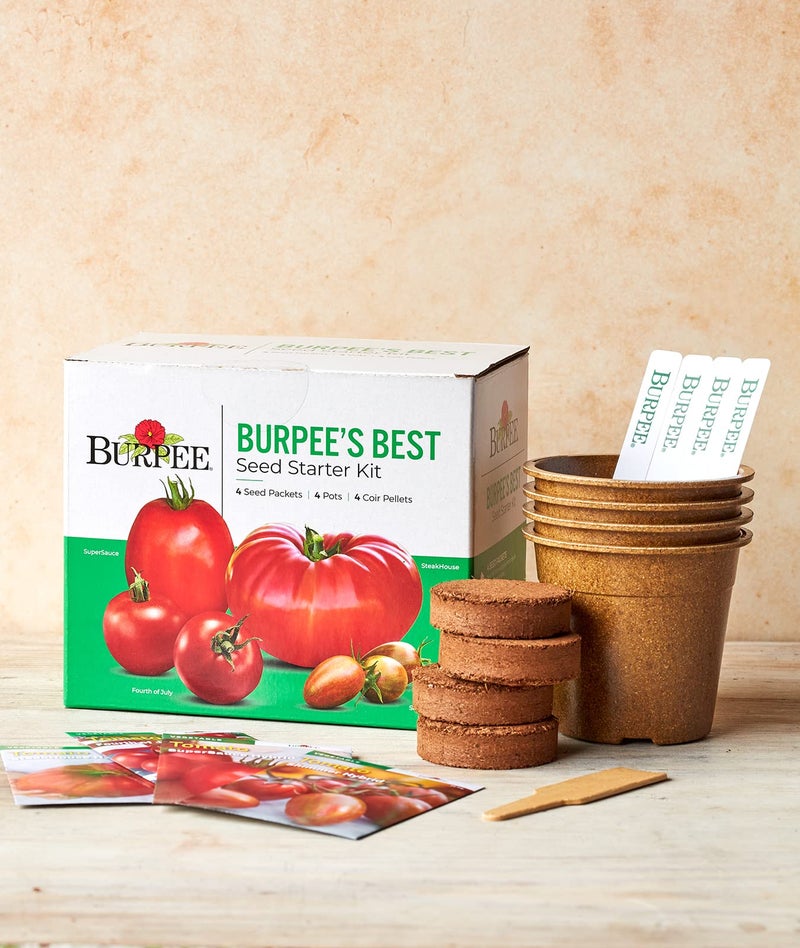 Burpee Best Starter Kit, SuperSauce, Fourth of July, Shimmer & Steakhouse, 4 Tomato Seed Packets, 4 Pots, 4 Coir Pellets & 4 Plant Markers - Image 5