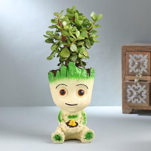 FlowerAura Air Purify Live Indoor Good Luck Jade Plant In Groot Pot For Living Room, Bedroom, Table Decor, Home/Office Decor, Birthday Gift, Anniversary Gift, Environment Day Gift - Image 1