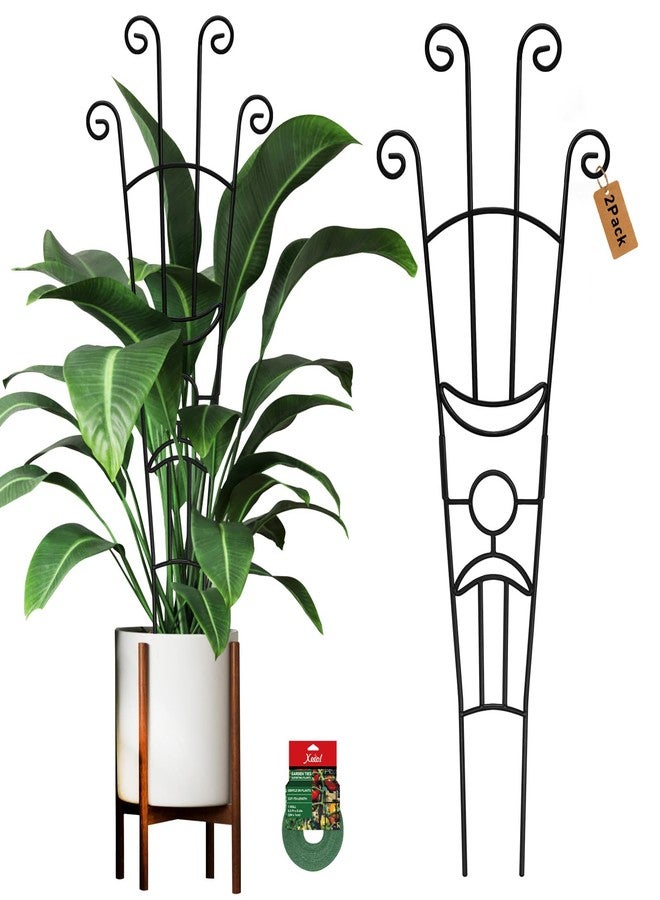 Xeeol 32.6in Plant Trellis for Climbing Plants Indoor, Expandable Large Metal Trellis for Potted Plants, Heavy-Duty Tall Pothos Plant Climber Support for Ivy Pothos Hoya Monstera, 2P - Image 1