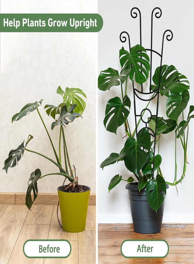 Xeeol 32.6in Plant Trellis for Climbing Plants Indoor, Expandable Large Metal Trellis for Potted Plants, Heavy-Duty Tall Pothos Plant Climber Support for Ivy Pothos Hoya Monstera, 2P - Image 3