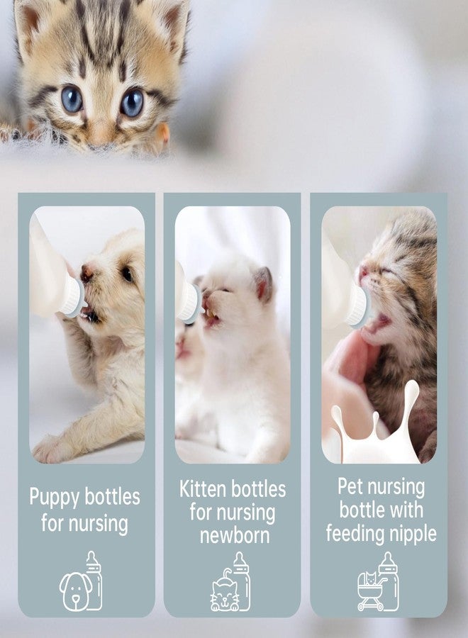 Xuandea 5Pack Kitten Bottle for Nursing Puppy Milk Kitten Bottles Feeding Kit Silicone Nipple for Newborn Pets Kittens, Puppy,Squirrel (Grey) - Image 4