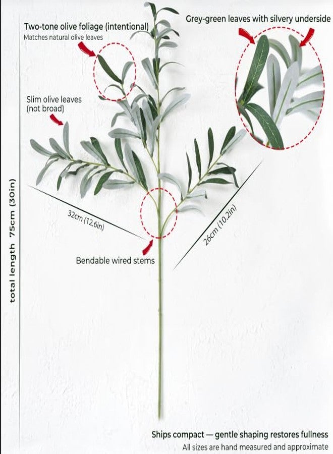FiveSeasonStuff Artificial Olive Branches, 6 Gray-Green 30 Inch Faux Olive Stems with Bendable Wire for Vases & Centerpieces - Image 2