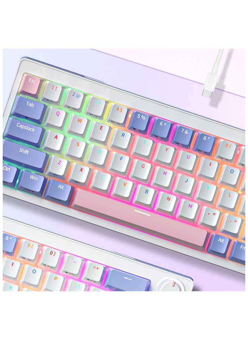 UCHUANG - Mechanical Gaming Keyboard with RGB LED Rainbow Backlit & Side Light Bars, 68 Keys Hot Swappable Yellow Switch, Dedicated Knob Control, USB-C Wired Keyboard for Windows/MacOS/Android PC Gamers - Image 1