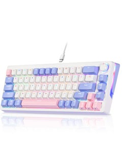UCHUANG Mechanical Gaming Keyboard with RGB LED Rainbow Backlit & Side Light Bars, 68 Keys Hot Swappable Yellow Switch, Dedicated Knob Control, USB-C Wired Keyboard for Windows/MacOS/Android PC Gamers  - Image 1