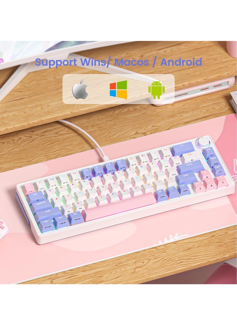 UCHUANG - Mechanical Gaming Keyboard with RGB LED Rainbow Backlit & Side Light Bars, 68 Keys Hot Swappable Yellow Switch, Dedicated Knob Control, USB-C Wired Keyboard for Windows/MacOS/Android PC Gamers - Image 1