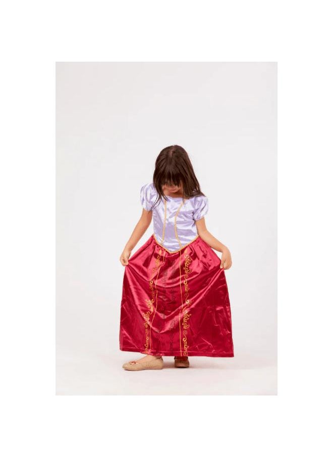 Generic Rapunzel Costume 