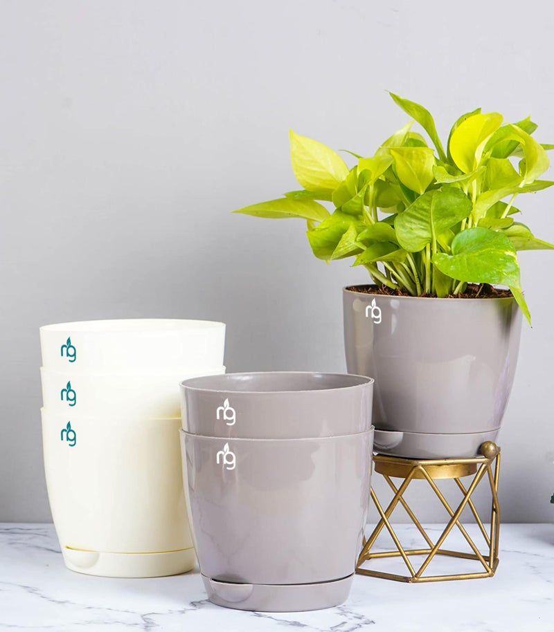 Nurturing Green® Combo of 6 Self Watering Flower Pots for Living Room & Home Decor | Plastic Plant Pots for Indoor, Balcony & Garden (Color: Assorted, Size: 14cm x 12.5cm Each) - Image 1