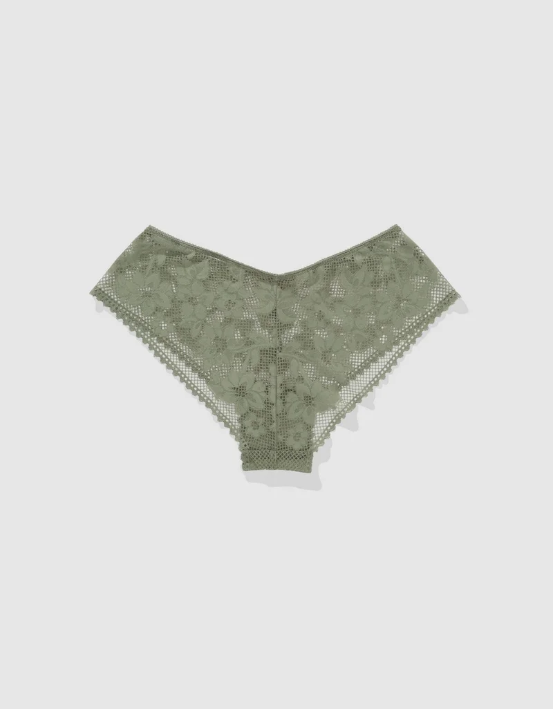 Aerie Show Off Sheer Joy Lace Cheeky Underwear