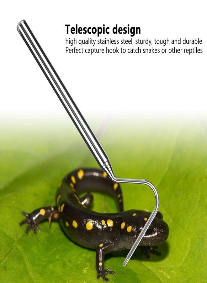 زيروديس خطاف لصيد الثعابين، خطاف تلسكوبي قابل للتمديد من الفولاذ المقاوم للصدأ لصيد الثعابين والزواحف (68 سم) - Image 3