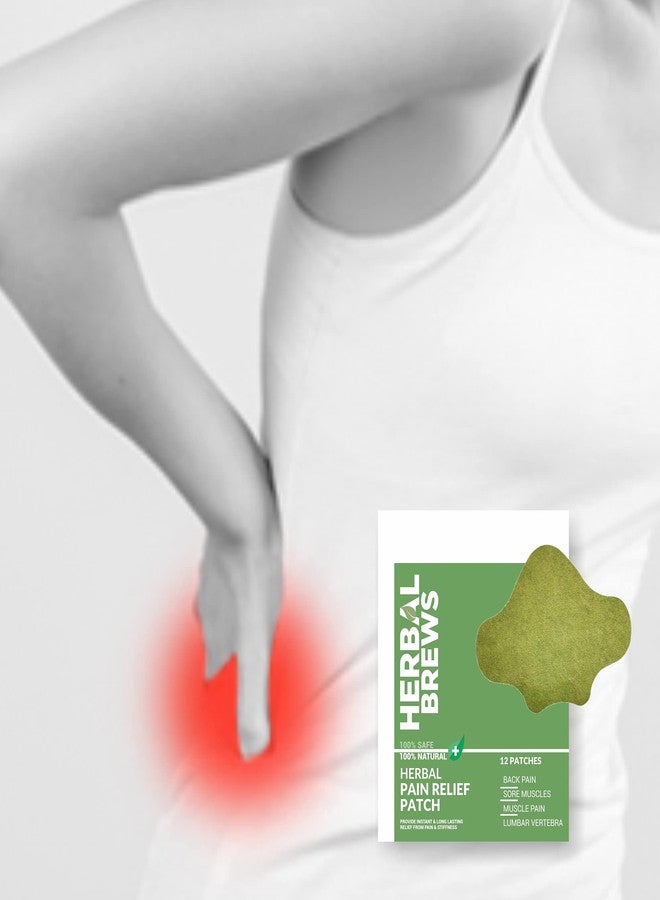 المشروبات العشبية مشروبات عشبية - لصقات لتخفيف آلام الظهر - 12 لصقة (مصممة خصيصًا لمنطقة أسفل الظهر) | منتجات آمنة وطبيعية 100% لتخفيف آلام أسفل الظهر | راحة فورية | بدون آثار جانبية - Image 4