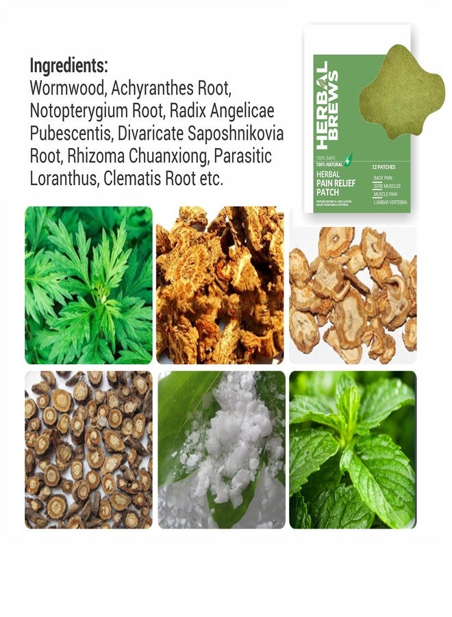 المشروبات العشبية مشروبات عشبية - لصقات لتخفيف آلام الظهر - 12 لصقة (مصممة خصيصًا لمنطقة أسفل الظهر) | منتجات آمنة وطبيعية 100% لتخفيف آلام أسفل الظهر | راحة فورية | بدون آثار جانبية - Image 3