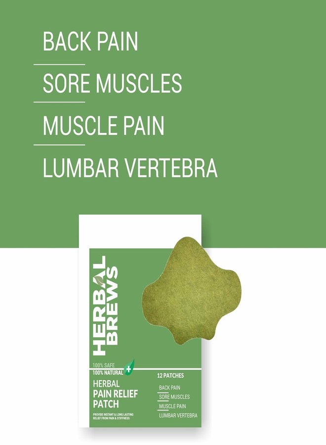 المشروبات العشبية مشروبات عشبية - لصقات لتخفيف آلام الظهر - 12 لصقة (مصممة خصيصًا لمنطقة أسفل الظهر) | منتجات آمنة وطبيعية 100% لتخفيف آلام أسفل الظهر | راحة فورية | بدون آثار جانبية - Image 2