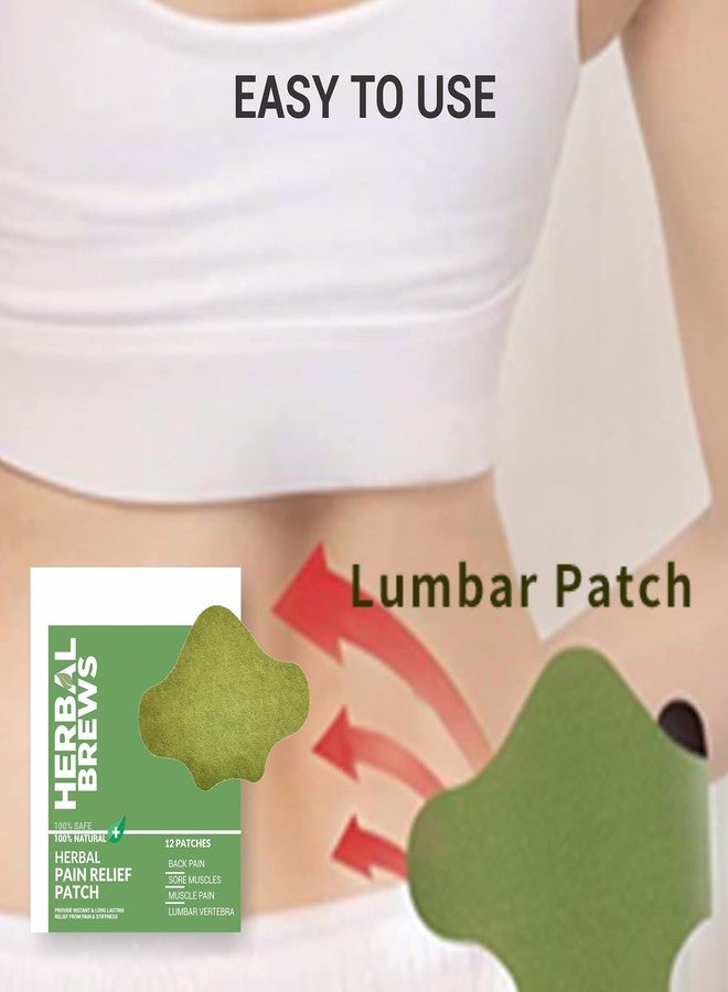 المشروبات العشبية مشروبات عشبية - لصقات لتخفيف آلام الظهر - 12 لصقة (مصممة خصيصًا لمنطقة أسفل الظهر) | منتجات آمنة وطبيعية 100% لتخفيف آلام أسفل الظهر | راحة فورية | بدون آثار جانبية - Image 5